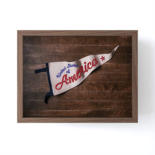 DENY Designs USA Stitched Pennant Framed Mini Art Print