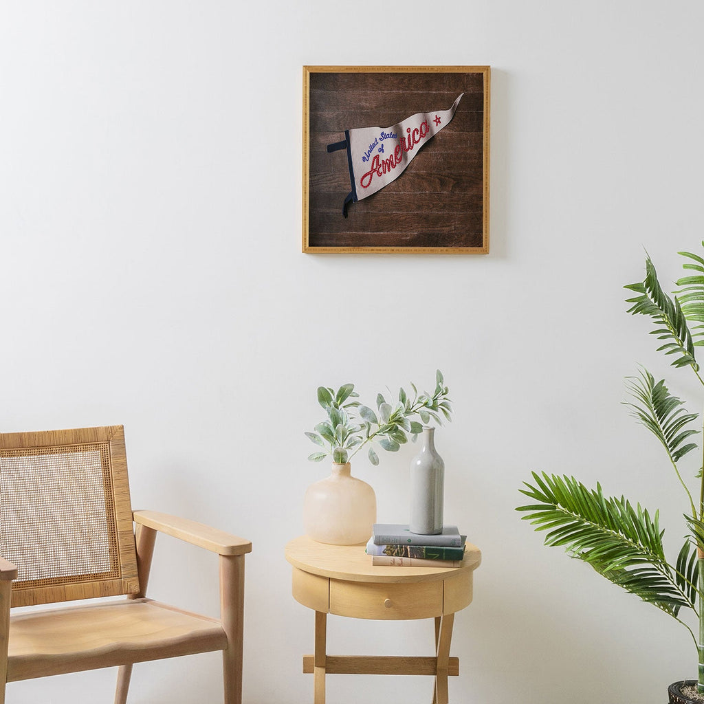 DENY Designs USA Stitched Pennant Framed Wall Art