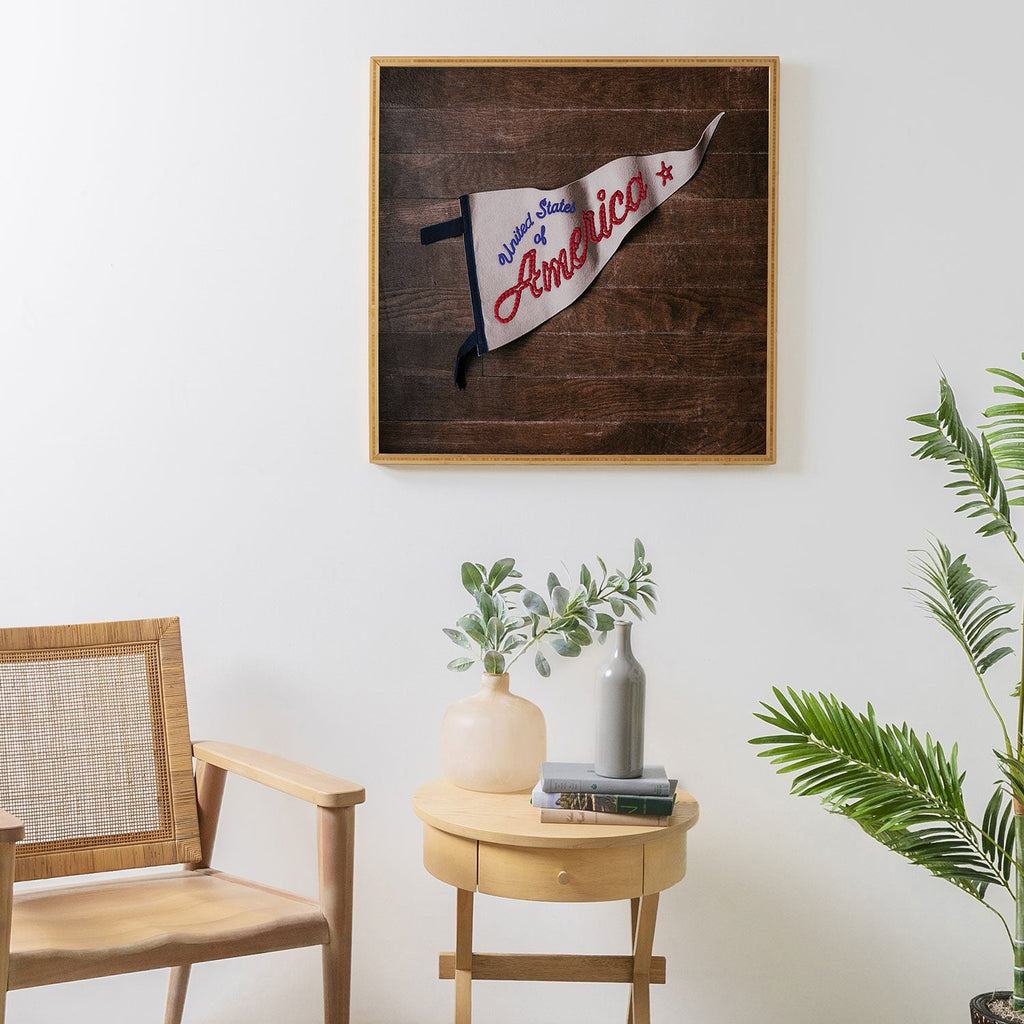 DENY Designs USA Stitched Pennant Framed Wall Art