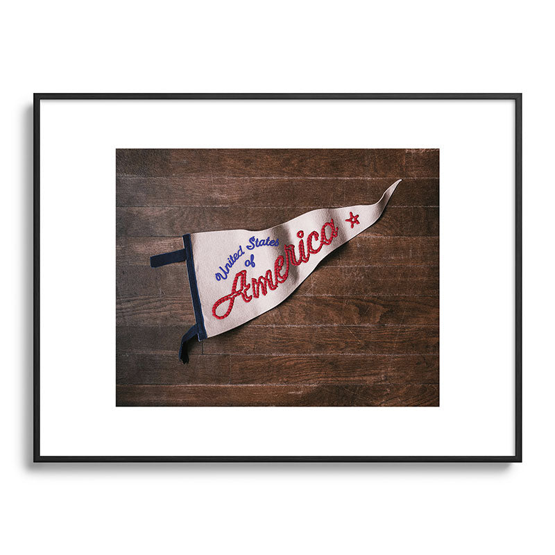 DENY Designs USA Stitched Pennant Metal Framed Art Print