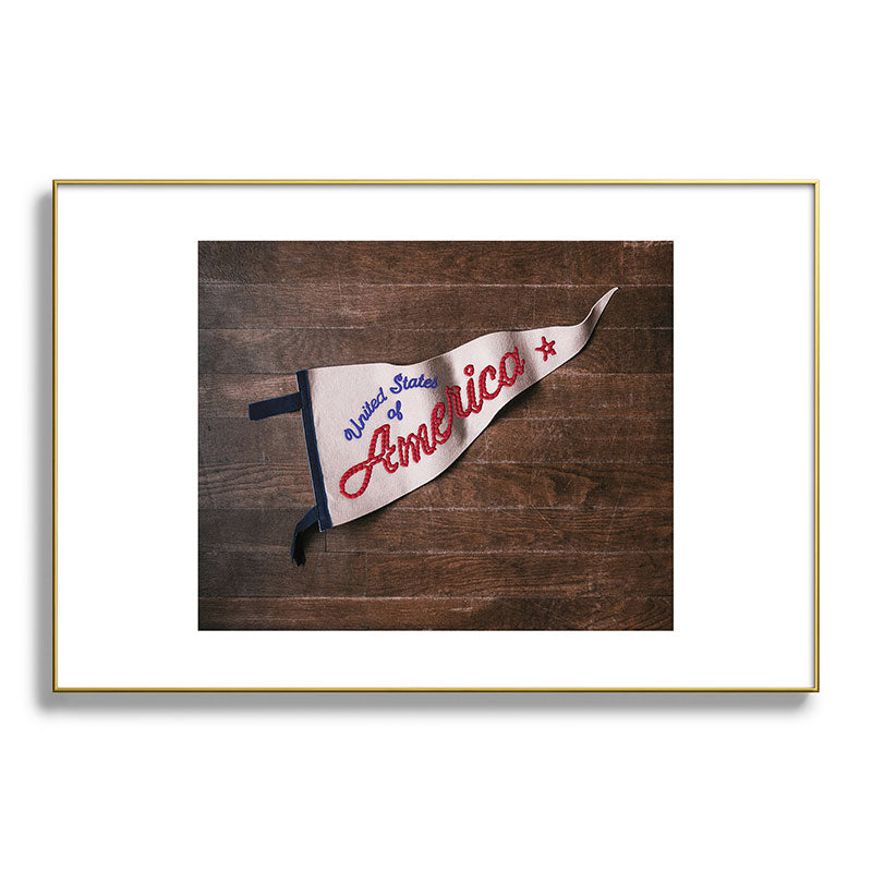 DENY Designs USA Stitched Pennant Metal Framed Art Print