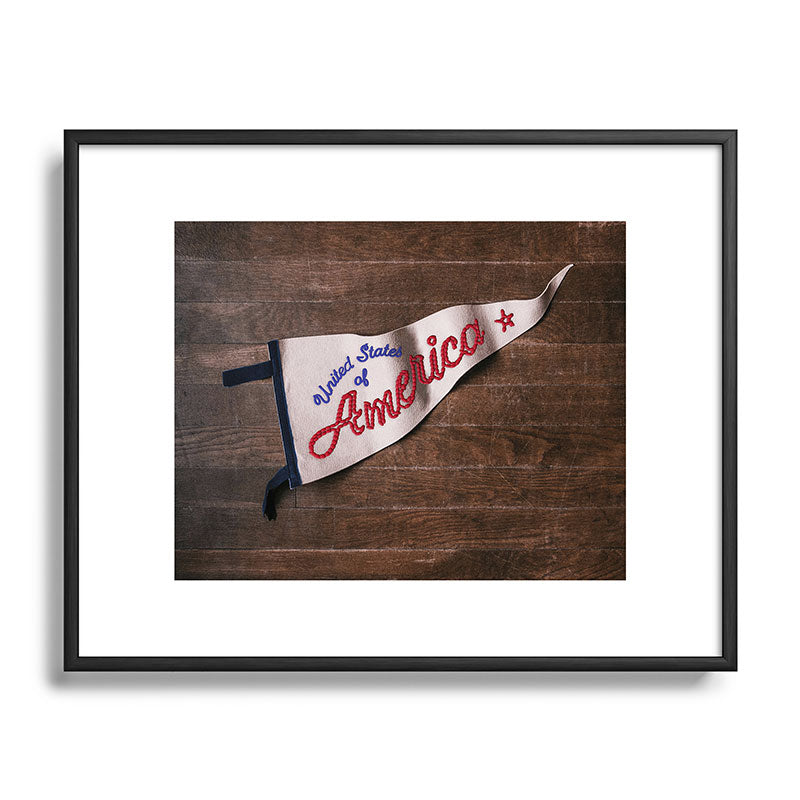 DENY Designs USA Stitched Pennant Metal Framed Art Print