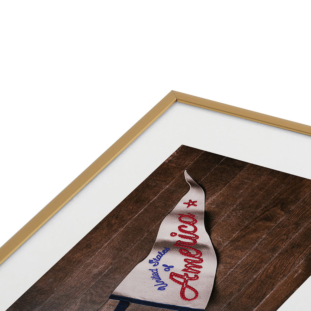 DENY Designs USA Stitched Pennant Metal Framed Art Print