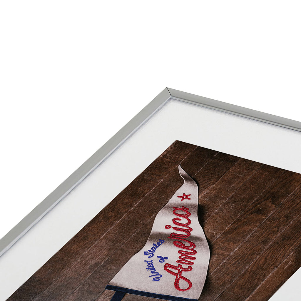 DENY Designs USA Stitched Pennant Metal Framed Art Print