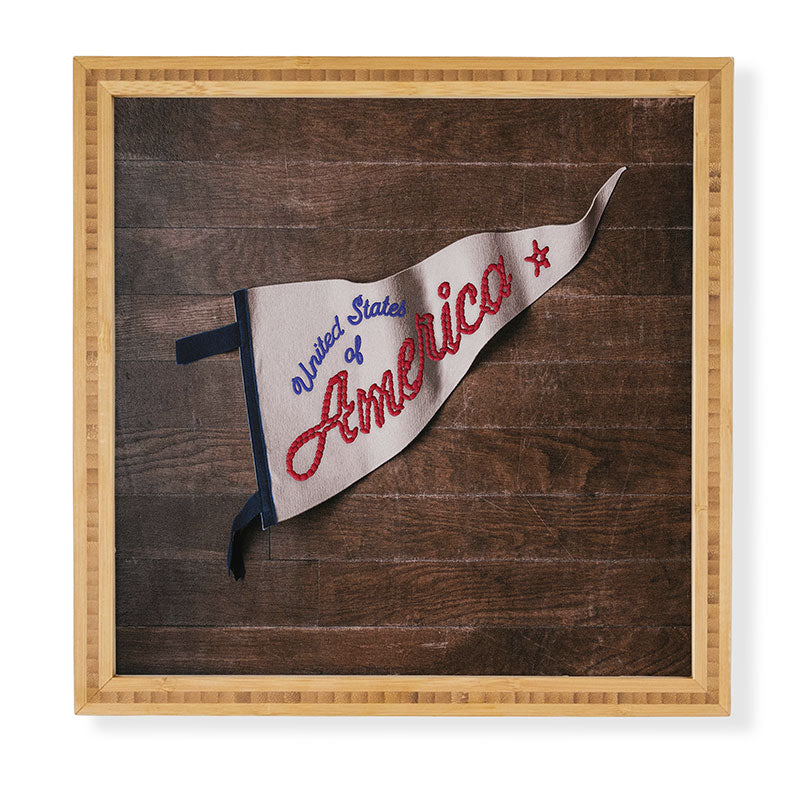 DENY Designs USA Stitched Pennant Framed Wall Art