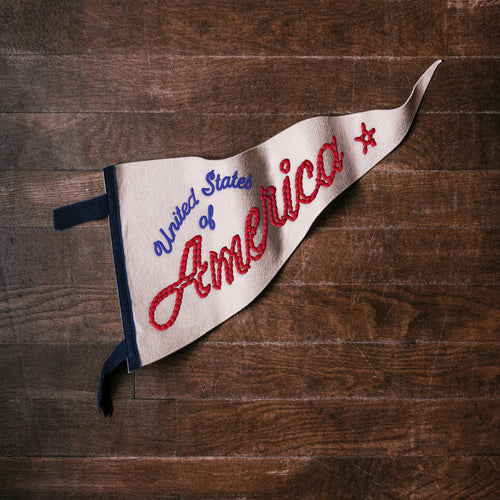 DENY Designs USA Stitched Pennant Shower Curtain