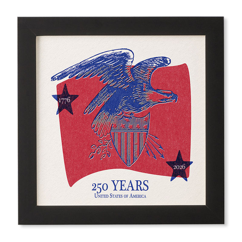 DENY Designs Vintage Eagle Shield Framed Wall Art