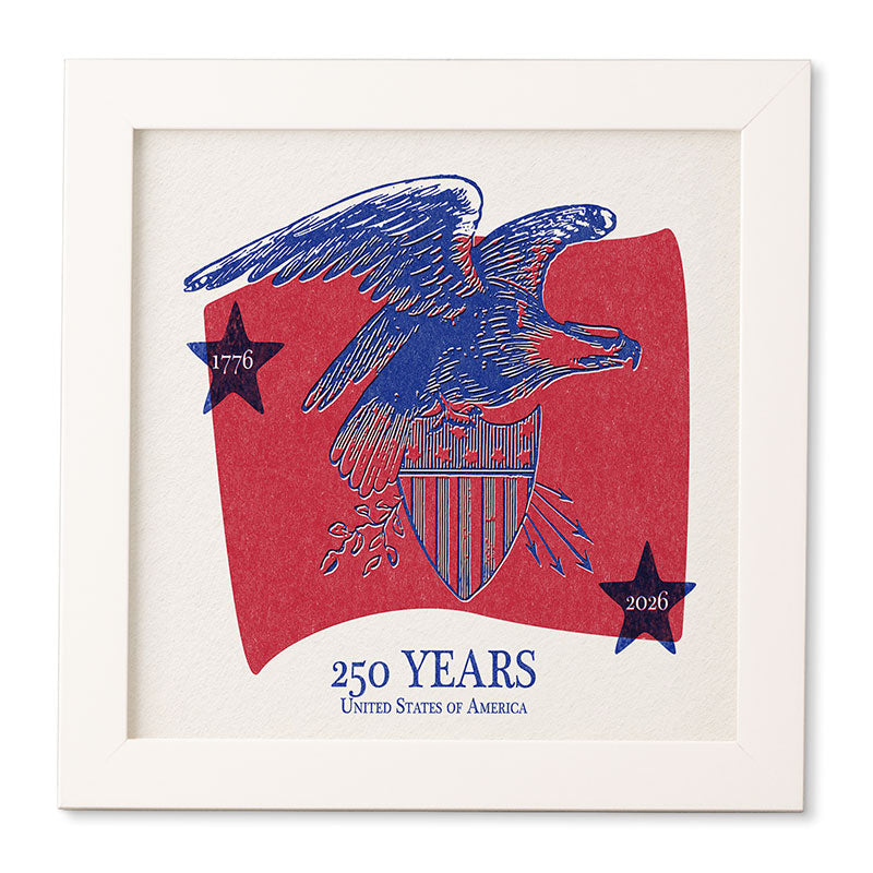 DENY Designs Vintage Eagle Shield Framed Wall Art