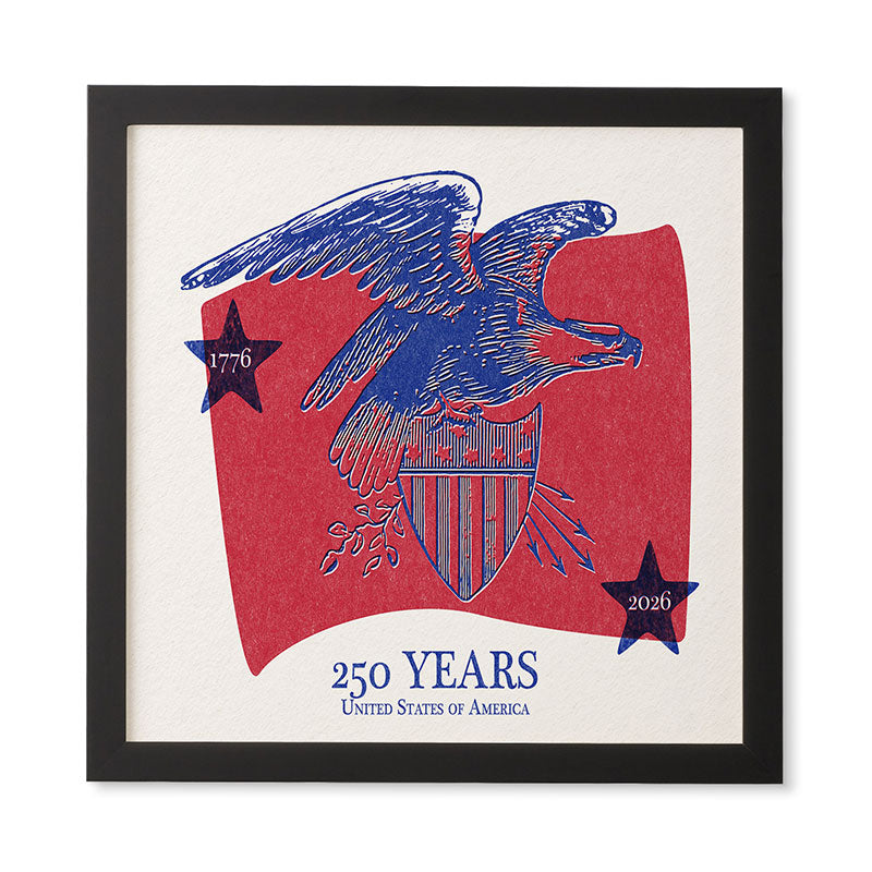 DENY Designs Vintage Eagle Shield Framed Wall Art