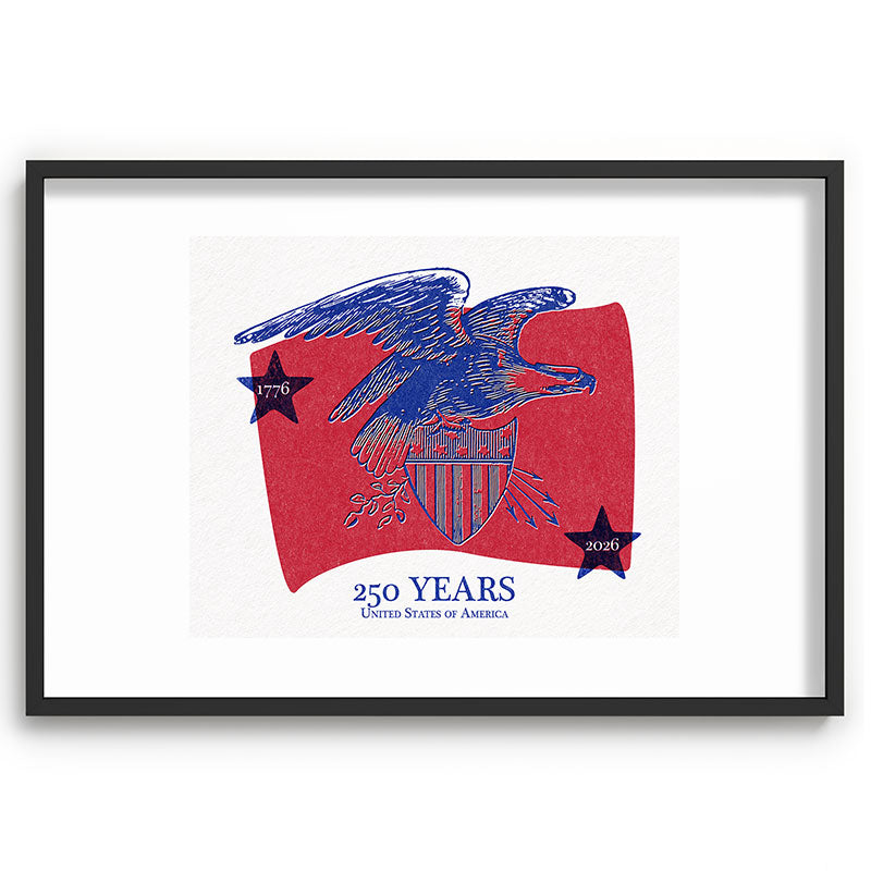 DENY Designs Vintage Eagle Shield Recessed Framing Rectangle