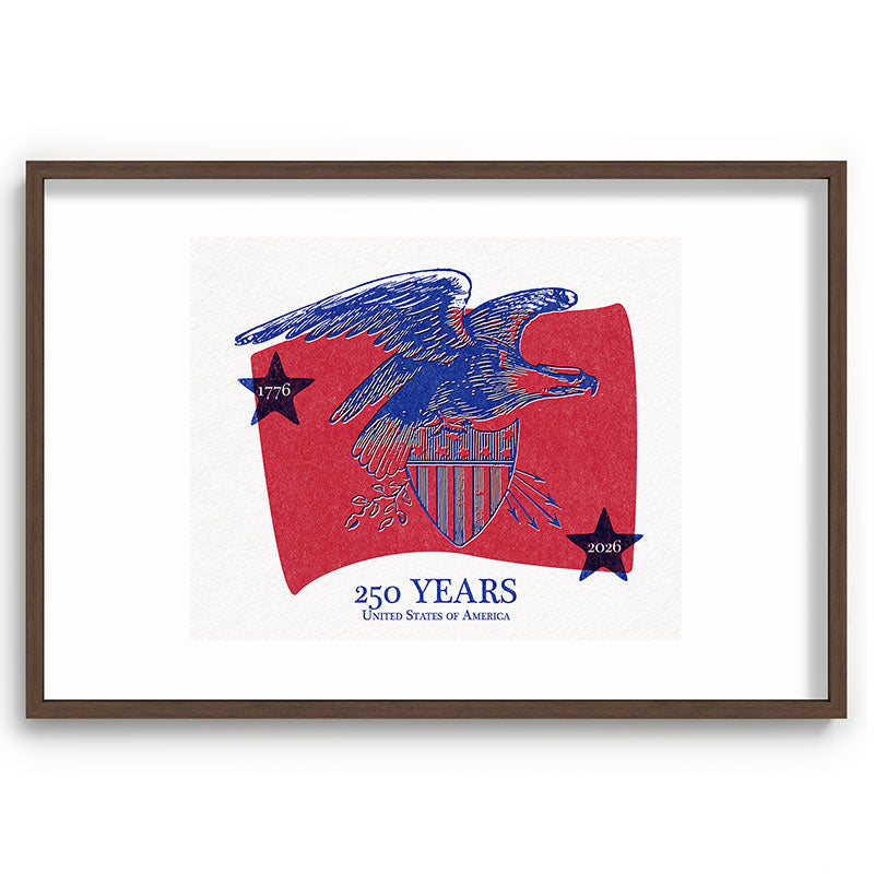 DENY Designs Vintage Eagle Shield Recessed Framing Rectangle
