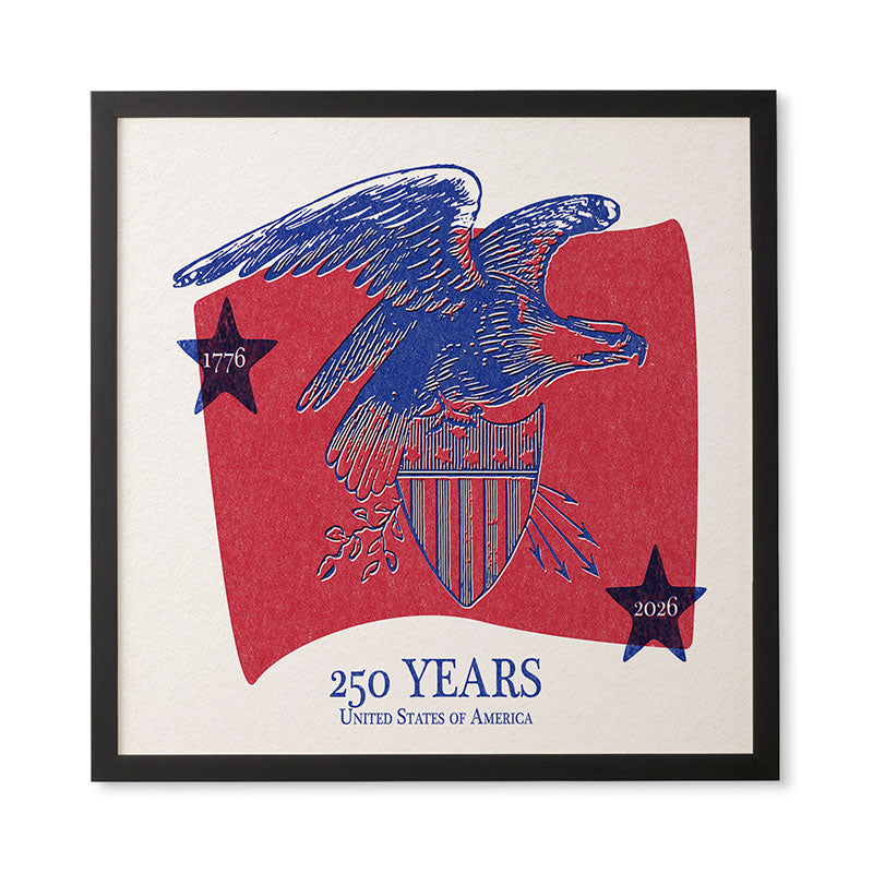 DENY Designs Vintage Eagle Shield Framed Wall Art