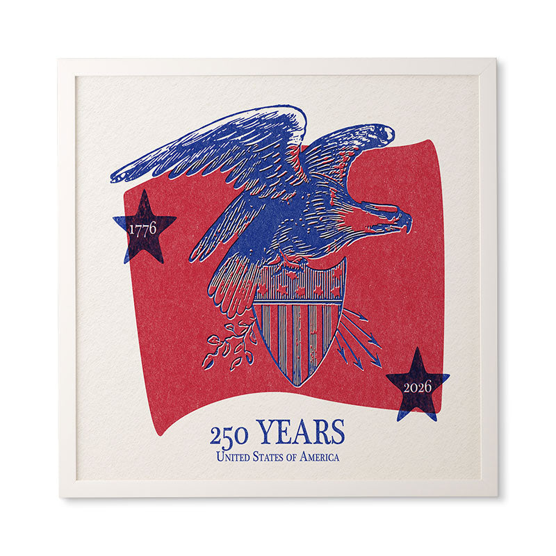 DENY Designs Vintage Eagle Shield Framed Wall Art