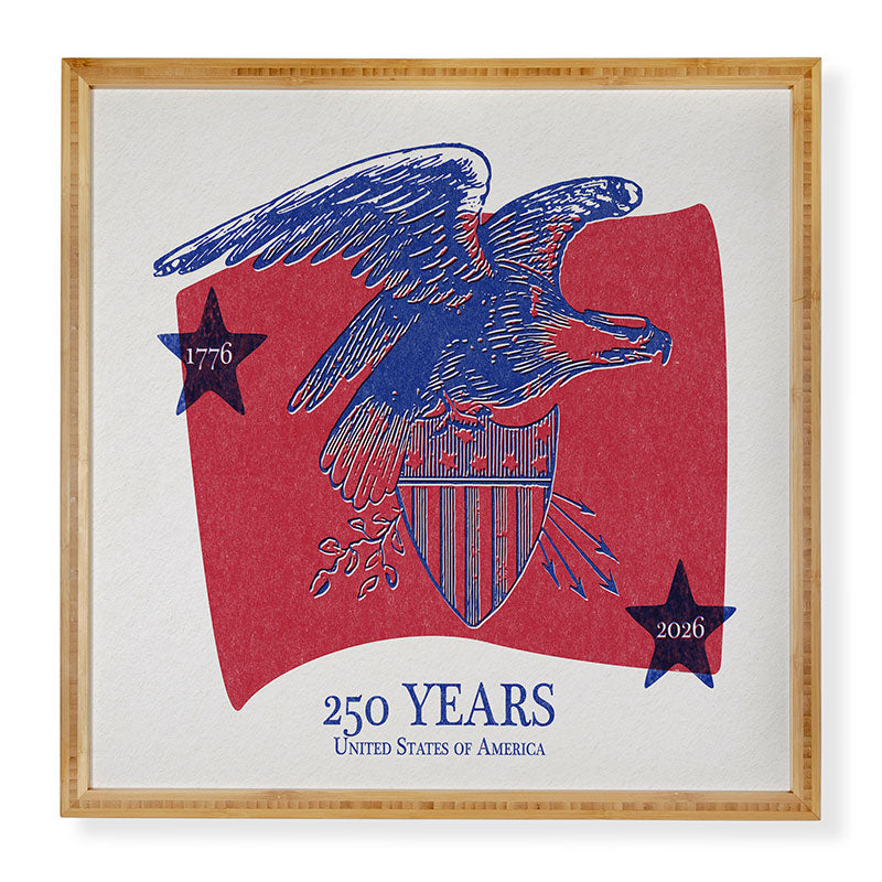 DENY Designs Vintage Eagle Shield Framed Wall Art