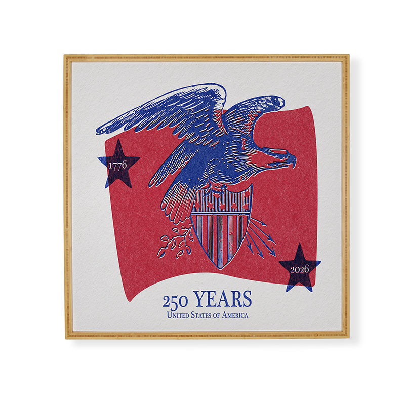 DENY Designs Vintage Eagle Shield Framed Wall Art
