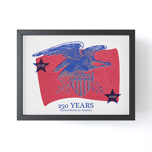 DENY Designs Vintage Eagle Shield Framed Mini Art Print