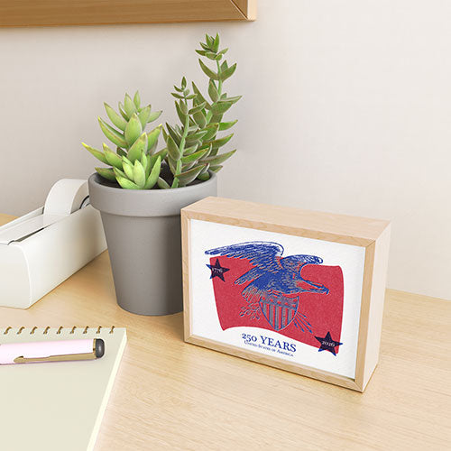 DENY Designs Vintage Eagle Shield Framed Mini Art Print