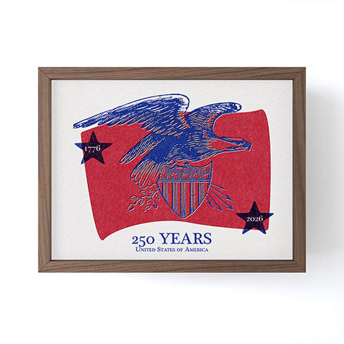 DENY Designs Vintage Eagle Shield Framed Mini Art Print