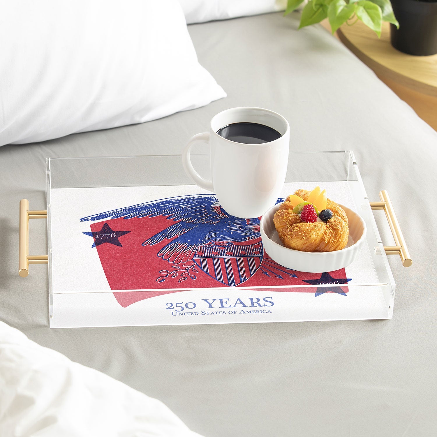 DENY Designs Vintage Eagle Shield Acrylic Tray