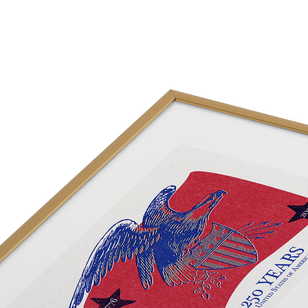 DENY Designs Vintage Eagle Shield Metal Framed Art Print