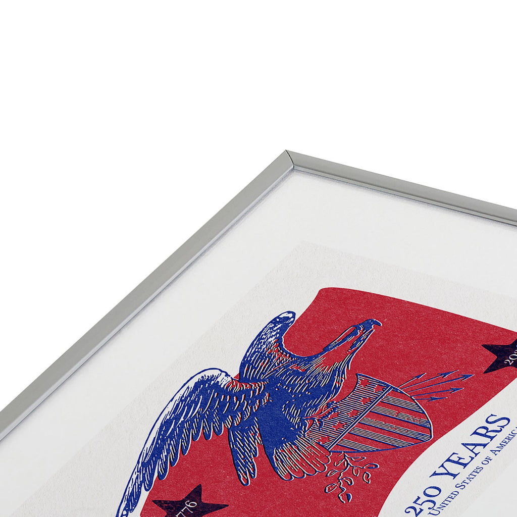 DENY Designs Vintage Eagle Shield Metal Framed Art Print