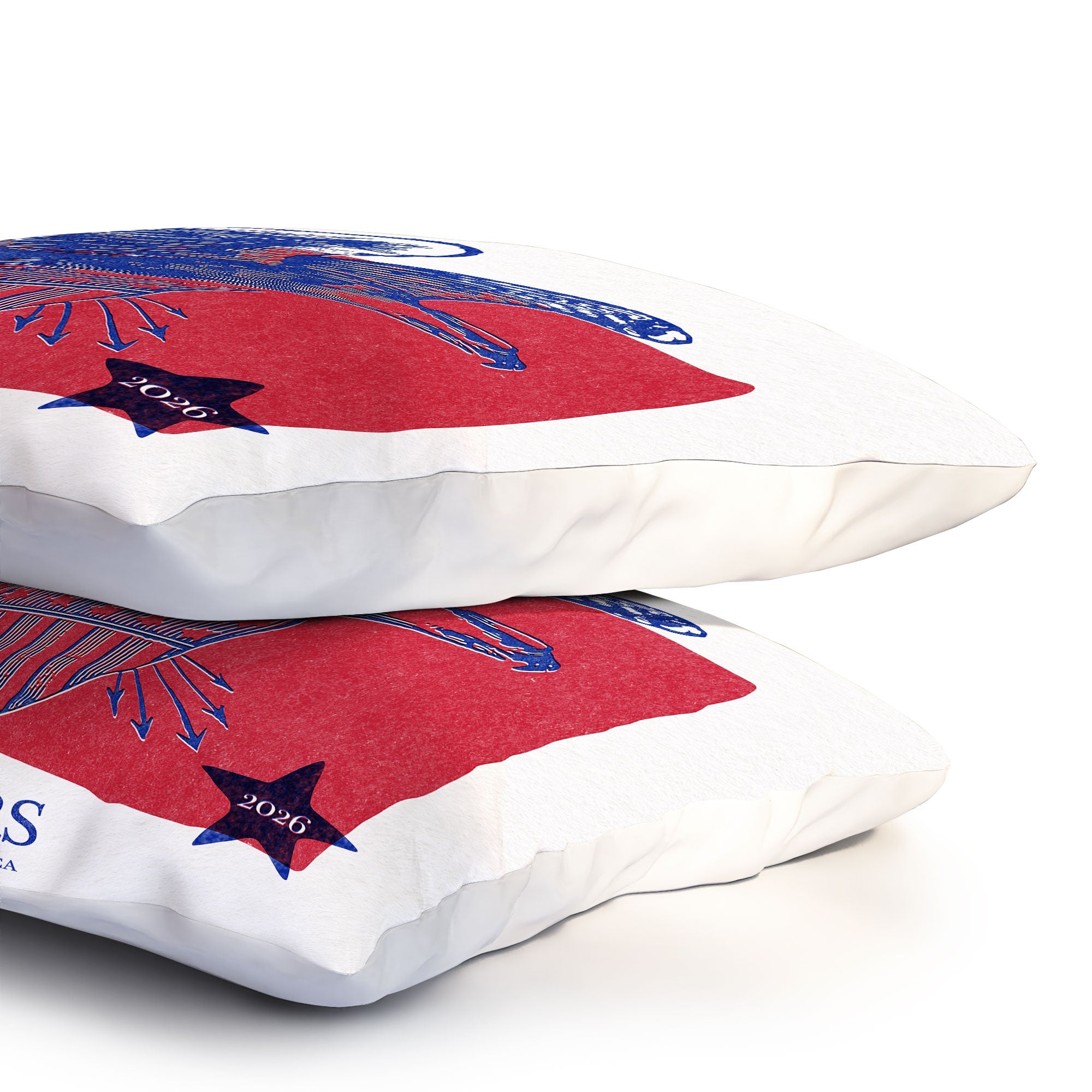 DENY Designs Vintage Eagle Shield Pillow Shams