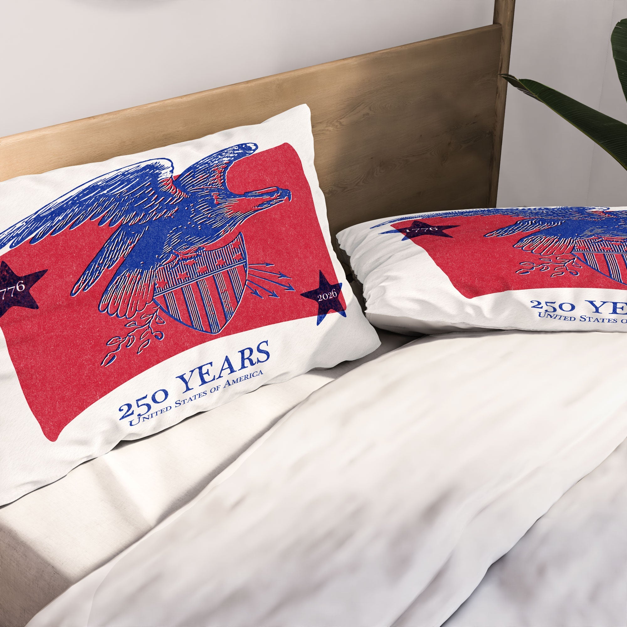 DENY Designs Vintage Eagle Shield Pillow Shams