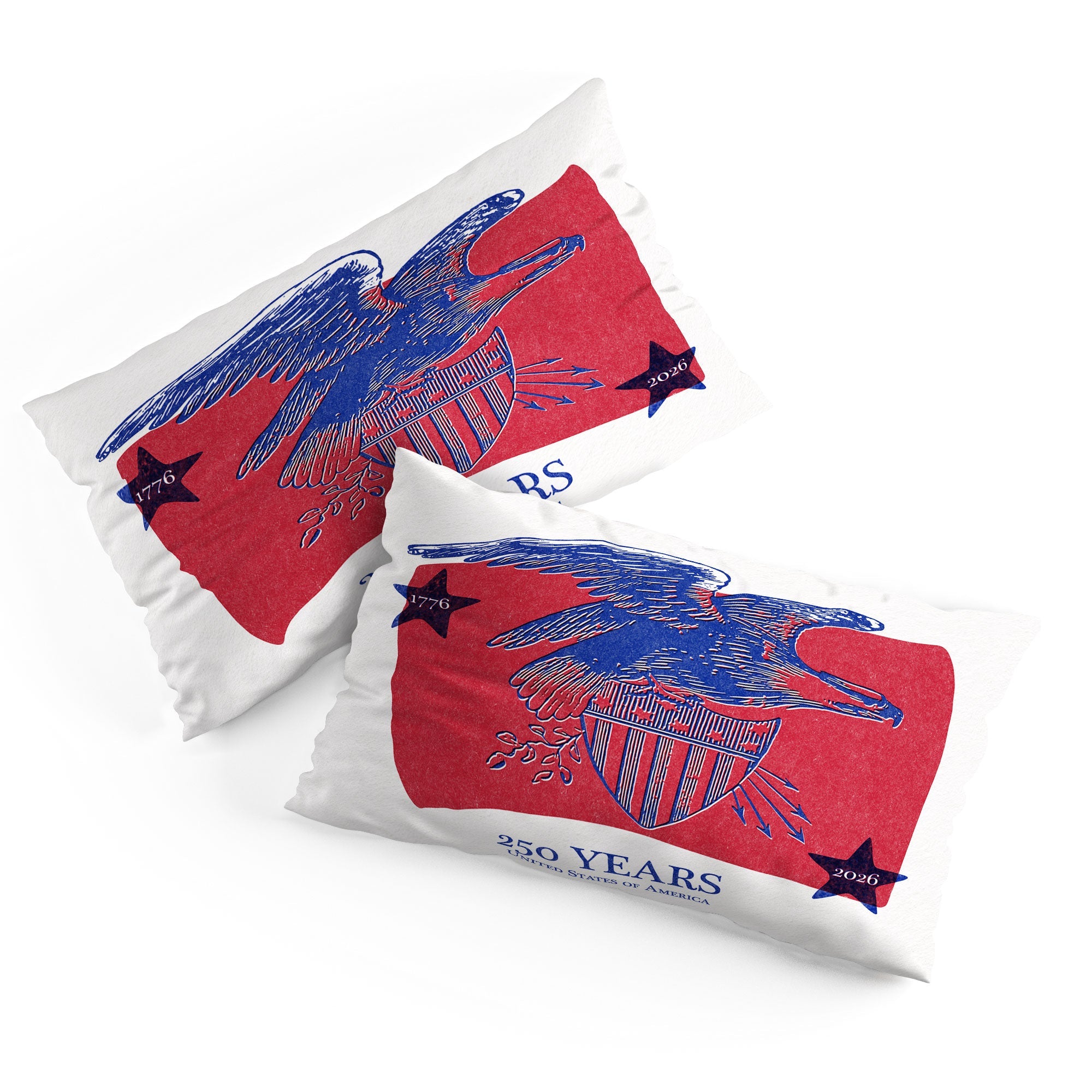 DENY Designs Vintage Eagle Shield Pillow Shams