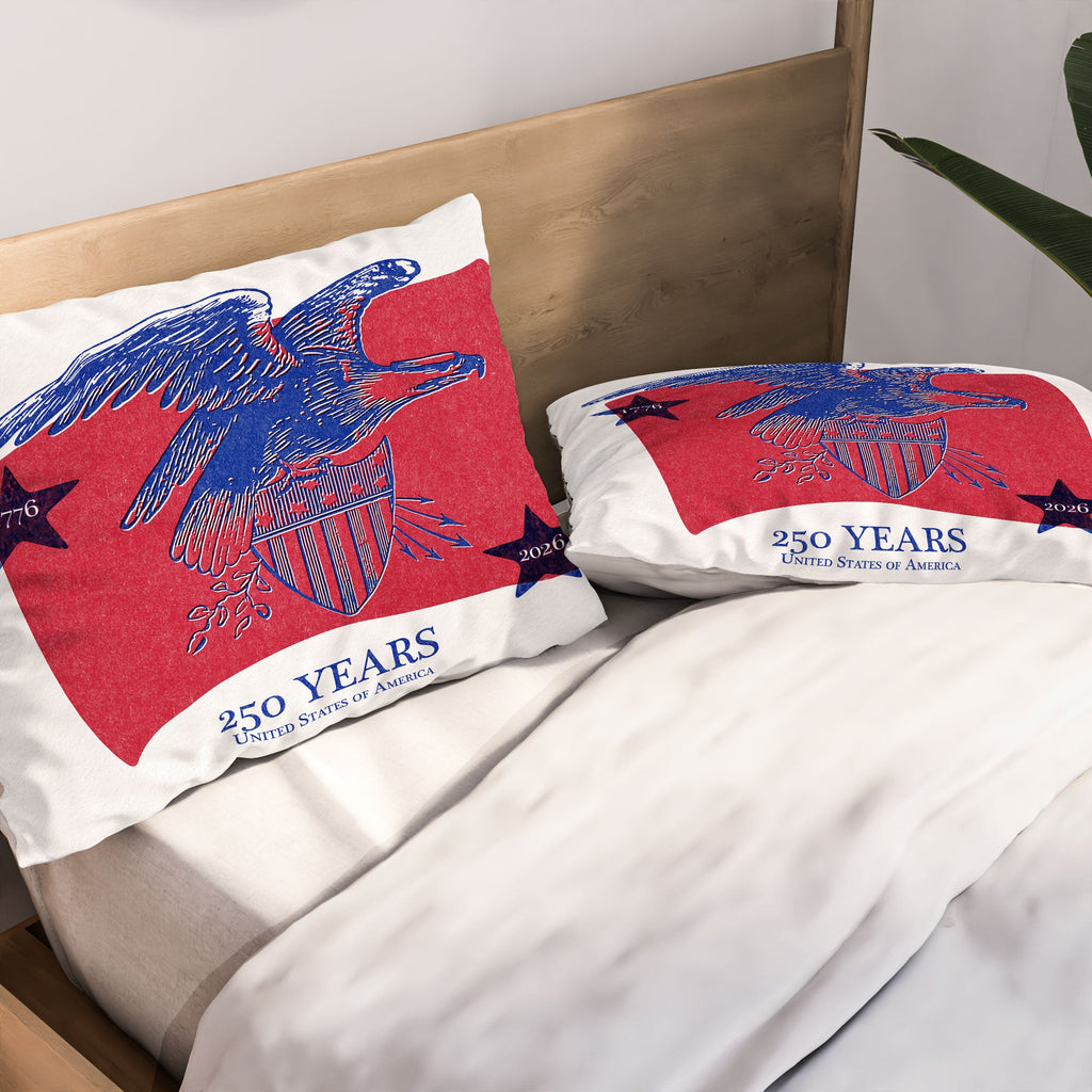 DENY Designs Vintage Eagle Shield Pillow Shams