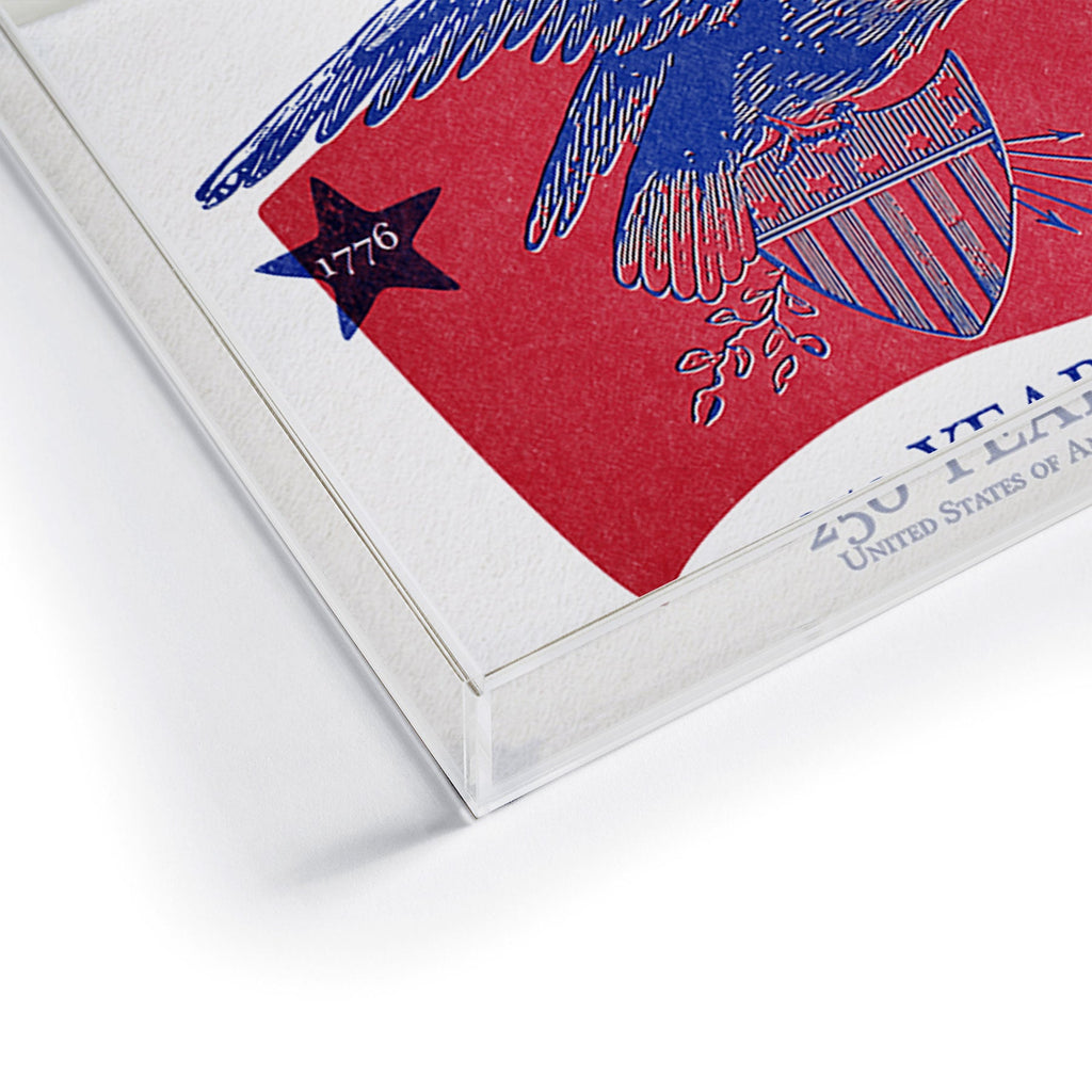 DENY Designs Vintage Eagle Shield Acrylic Tray