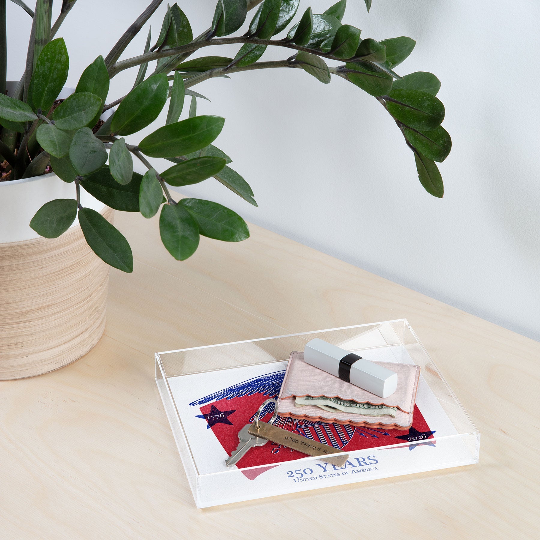 DENY Designs Vintage Eagle Shield Acrylic Tray