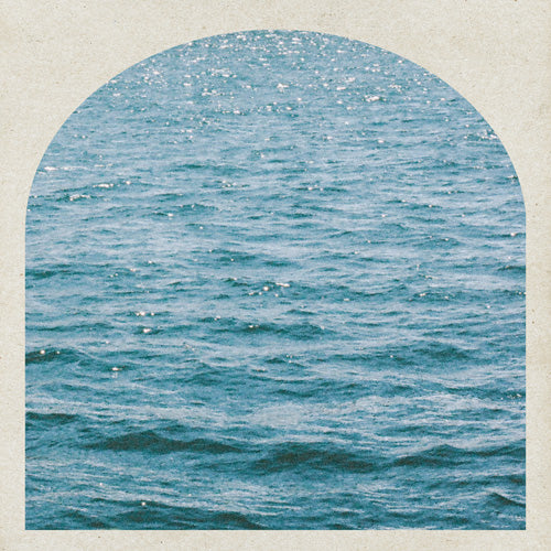 DENY Designs Waves Window Shower Curtain