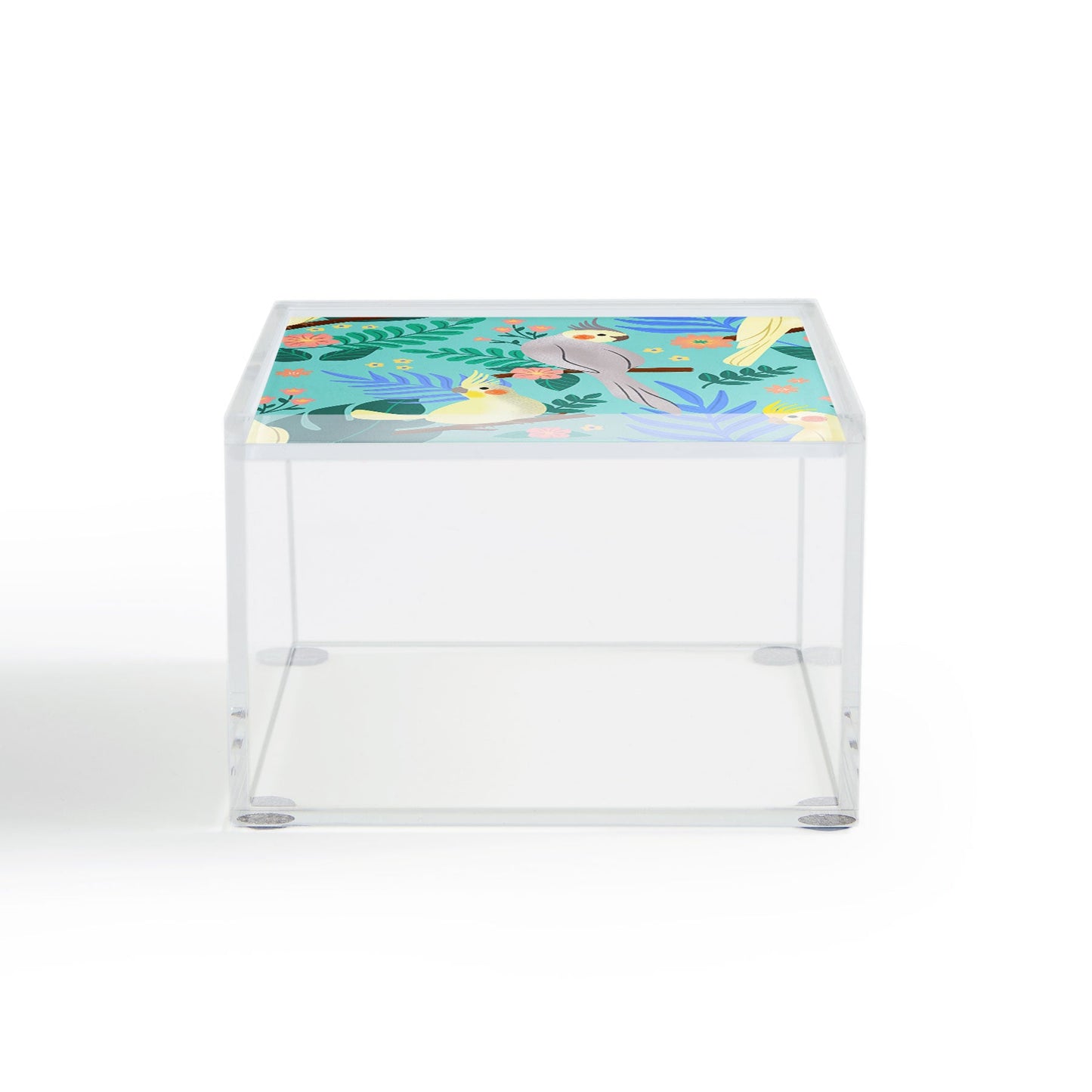 Design by Spark Cockatiel Beauty Acrylic Box