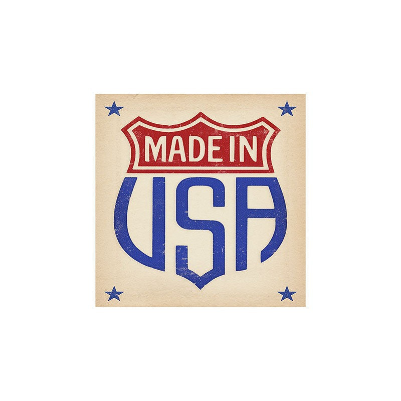 DENY Designs Made in USA Art Print