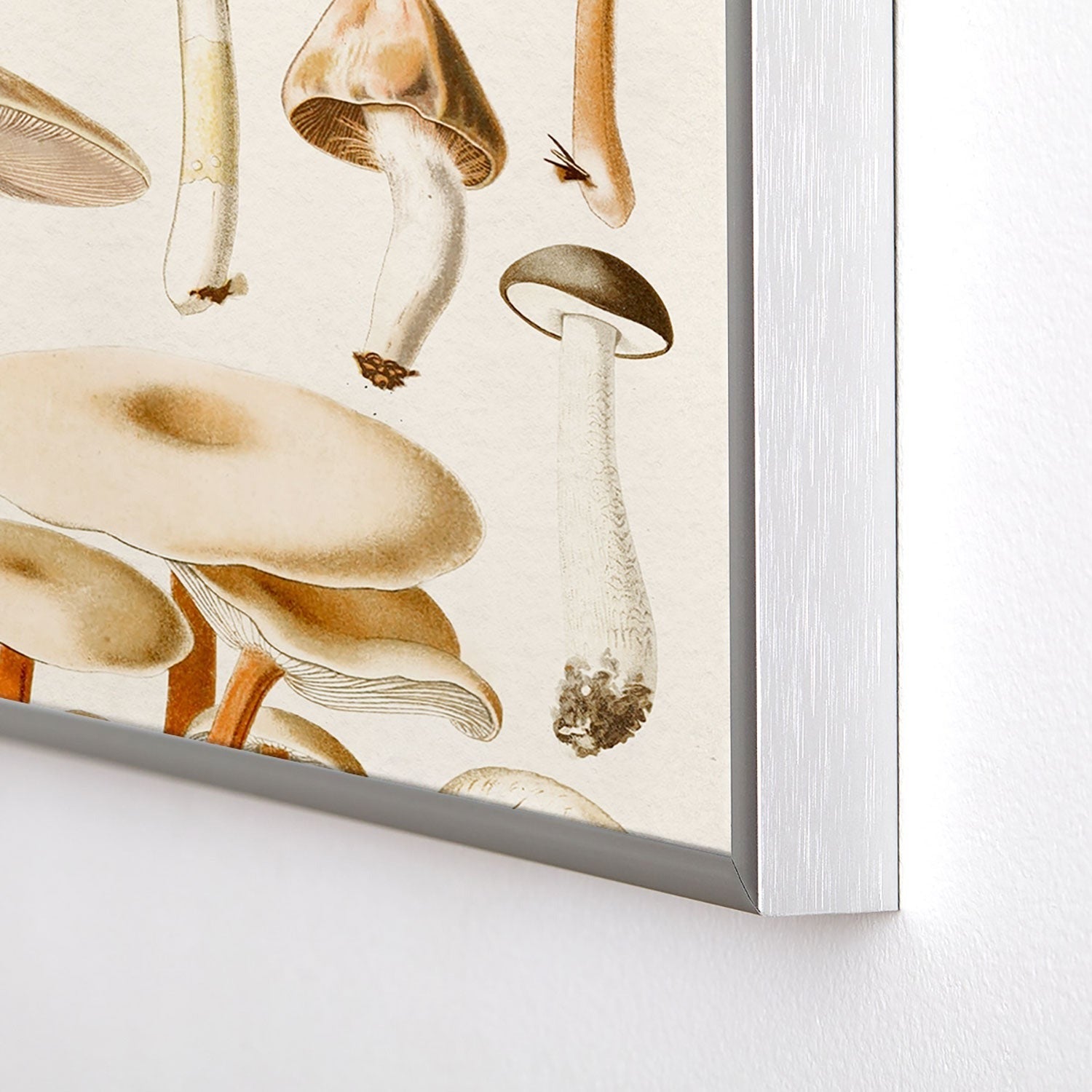 Gal Design Mushrooms Collection Square Metal Framed Art Print