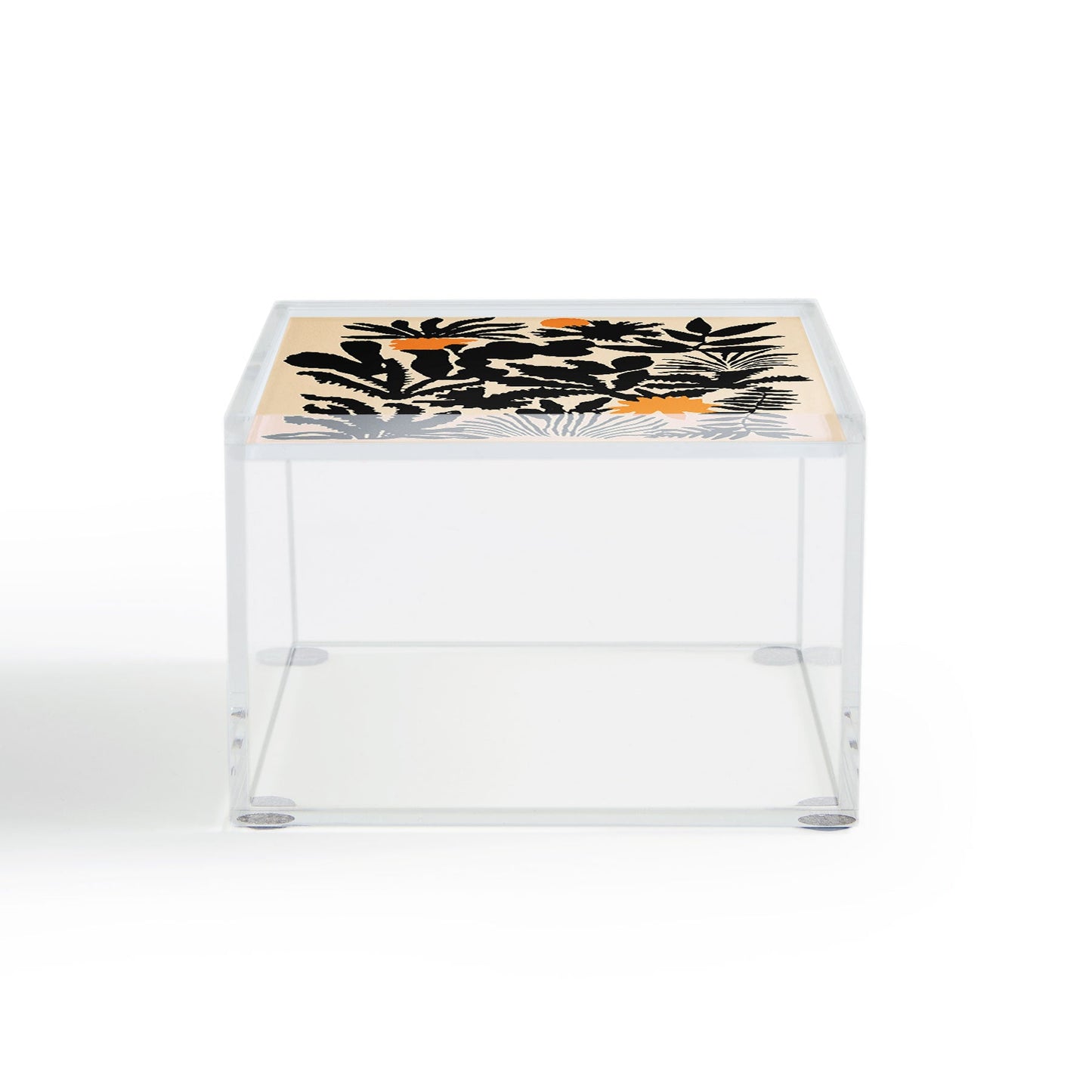 DorisciciArt Agave botanic Acrylic Box