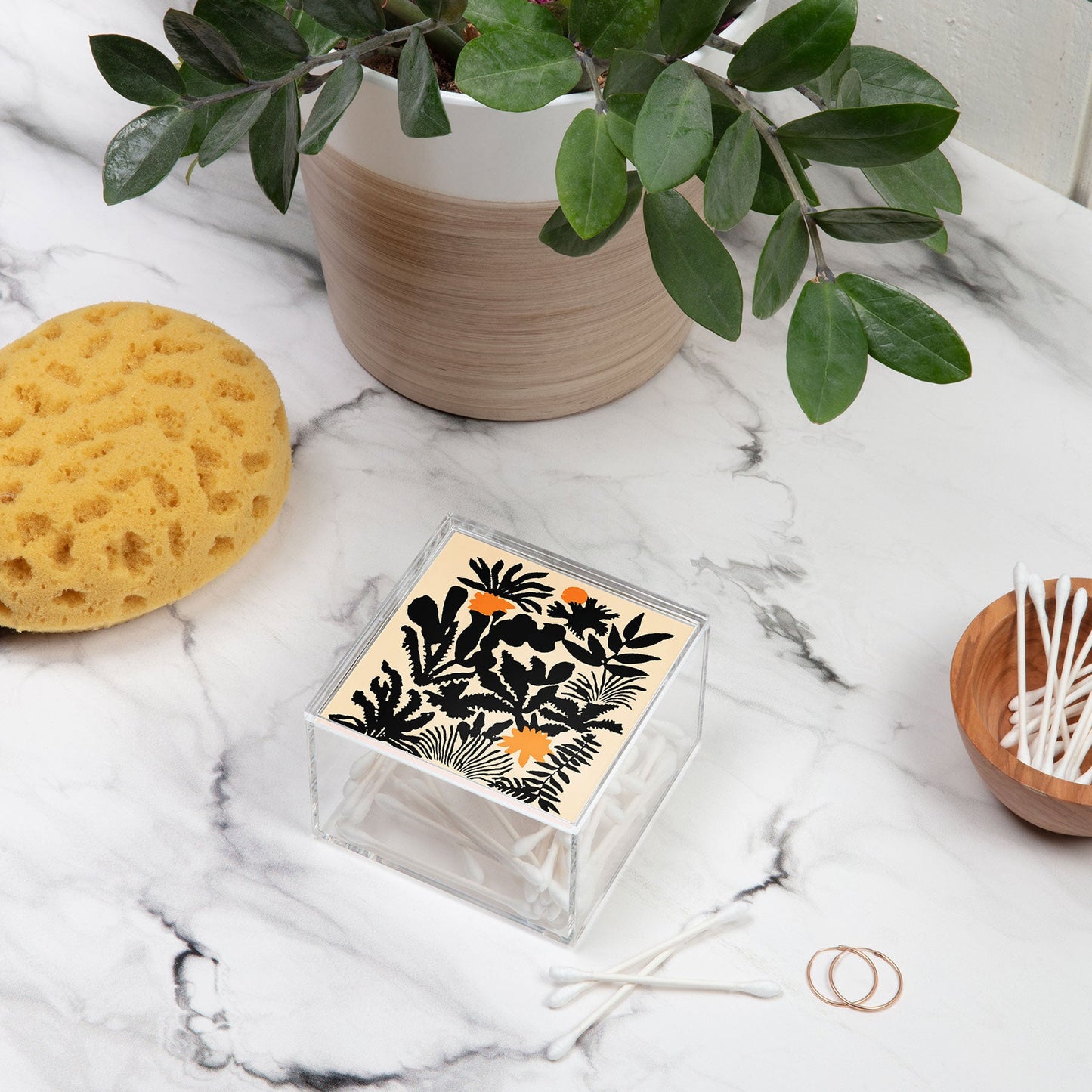 DorisciciArt Agave botanic Acrylic Box