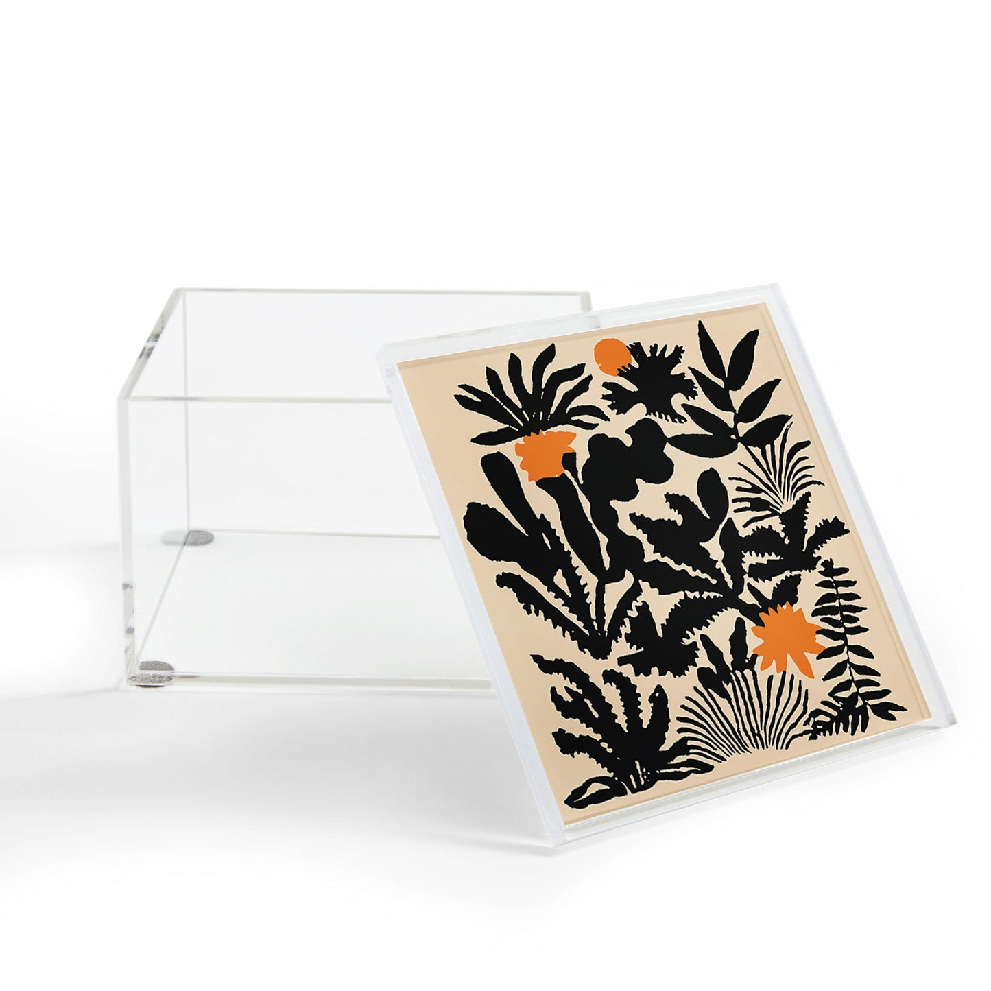 DorisciciArt Agave botanic Acrylic Box