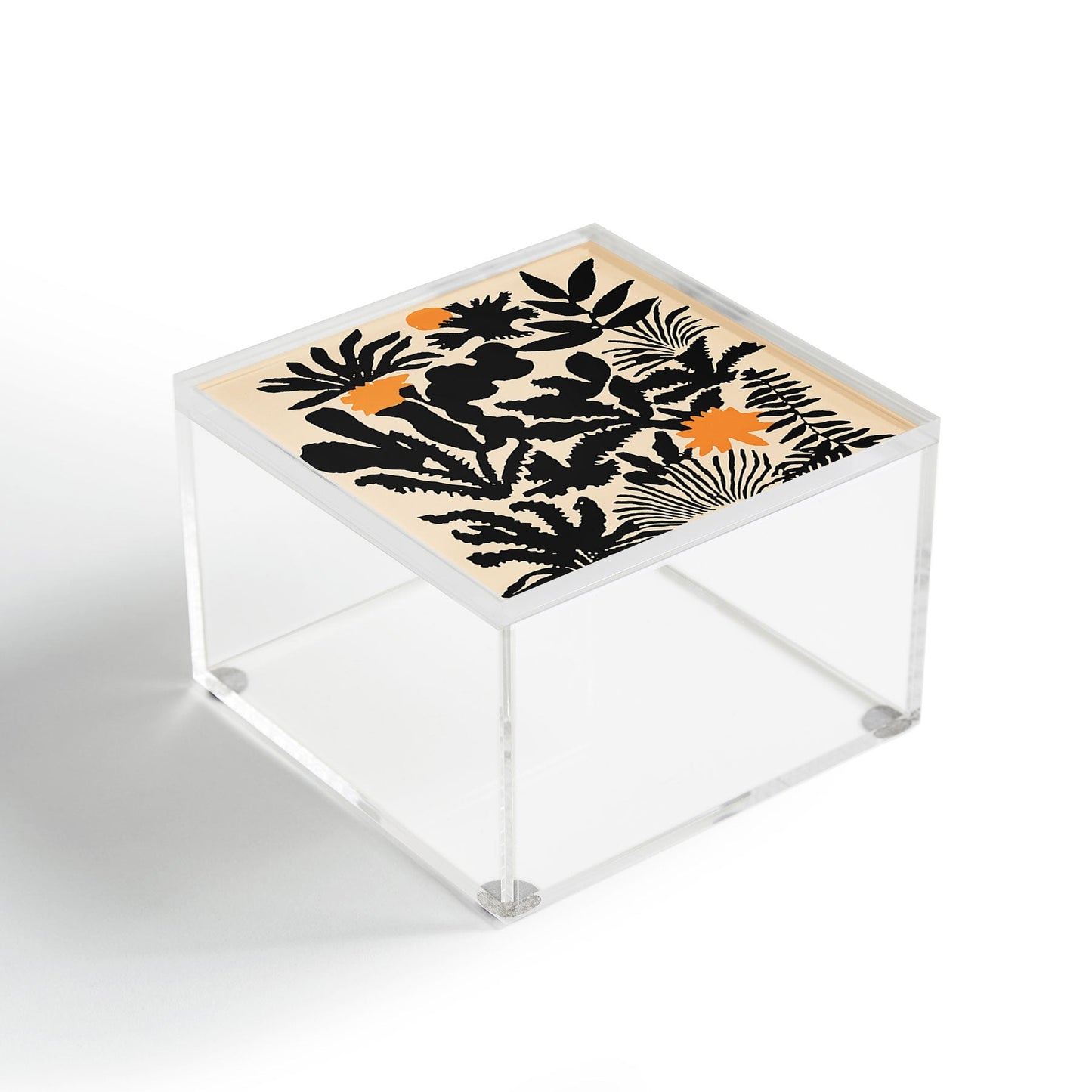 DorisciciArt Agave botanic Acrylic Box