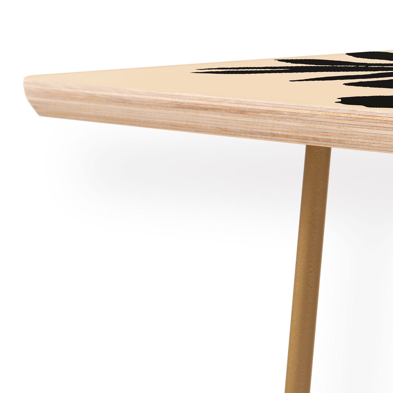 DorisciciArt Agave botanic Coffee Table
