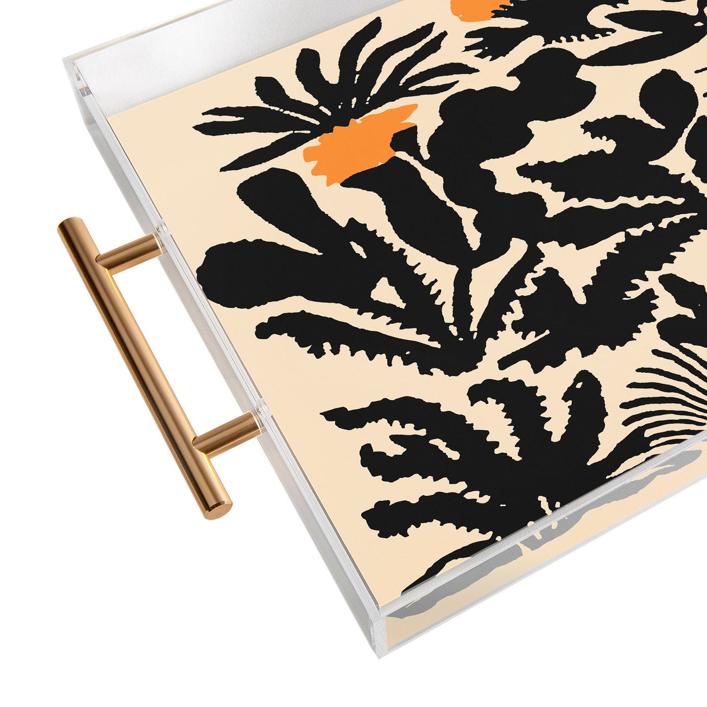 DorisciciArt Agave botanic Acrylic Tray