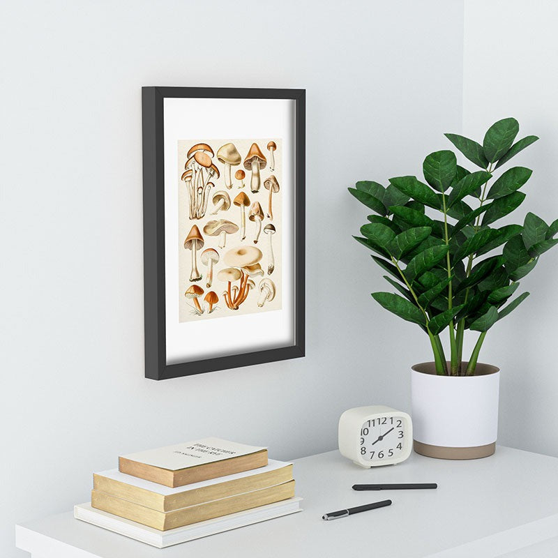 Gal Design Mushrooms Collection Recessed Framing Rectangle