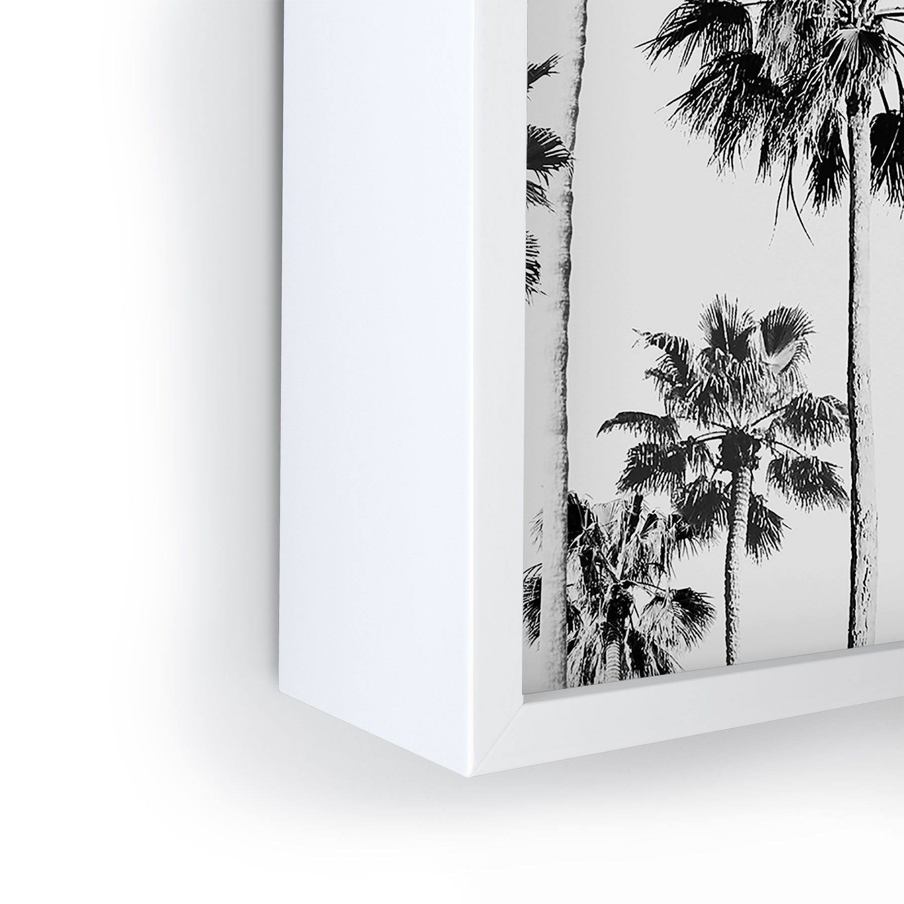 Gal Design Black And White Palms Framed Mini Art Print