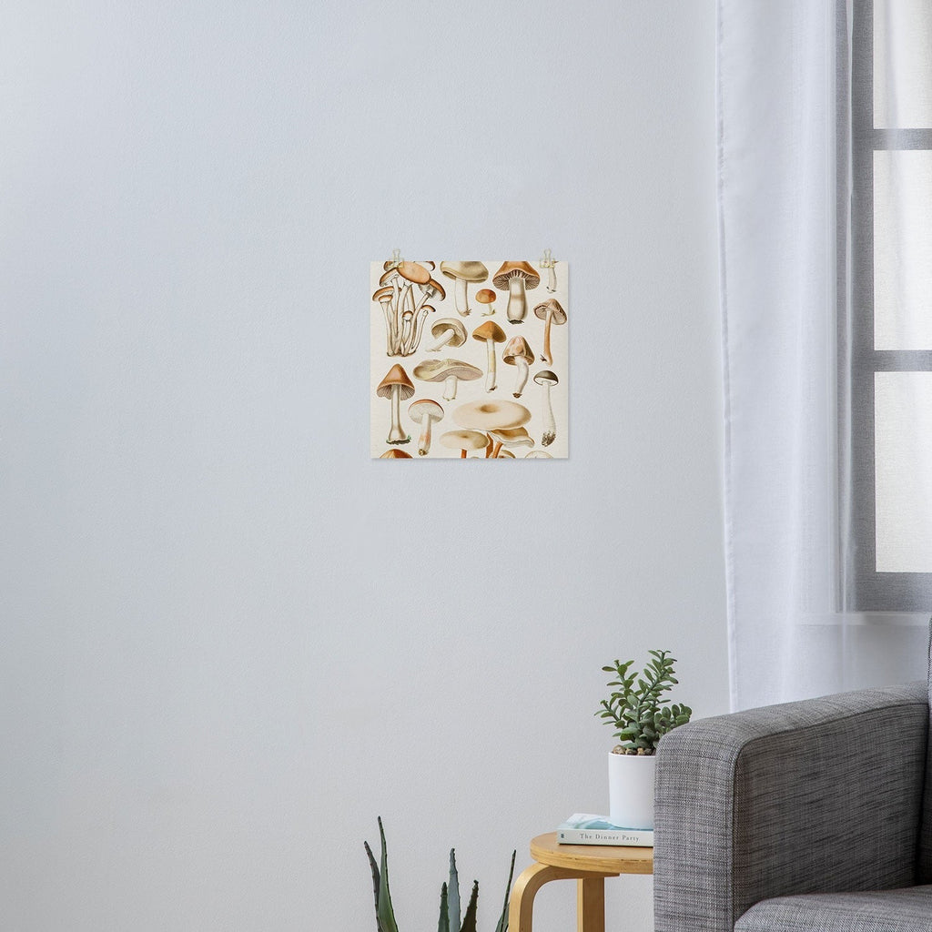 Gal Design Mushrooms Collection Art Print