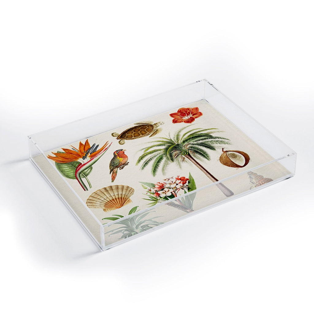 Gal Design Hawaii Collection Acrylic Tray