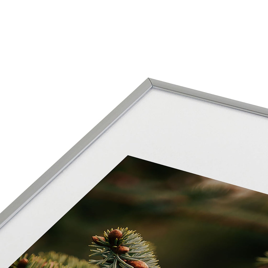 Hannah Kemp Spruce Tips Metal Framed Art Print