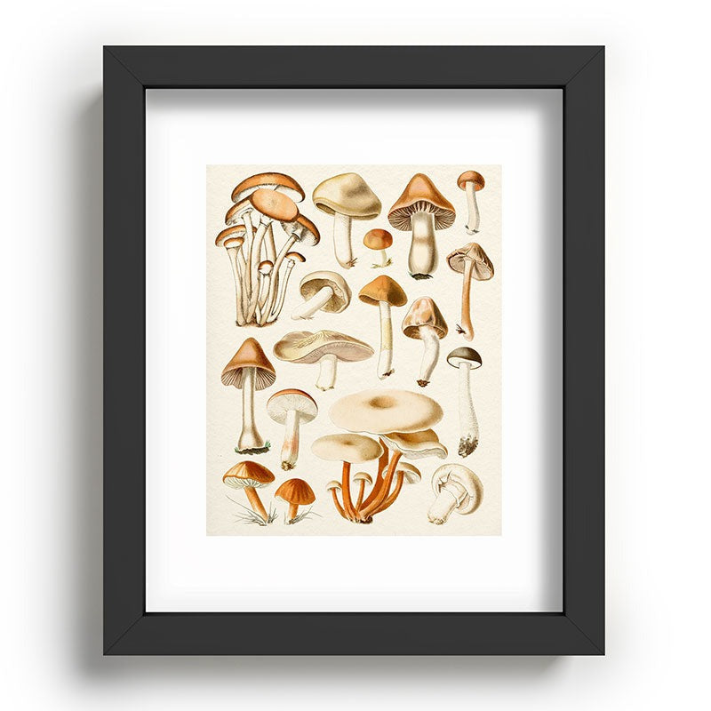 Gal Design Mushrooms Collection Recessed Framing Rectangle