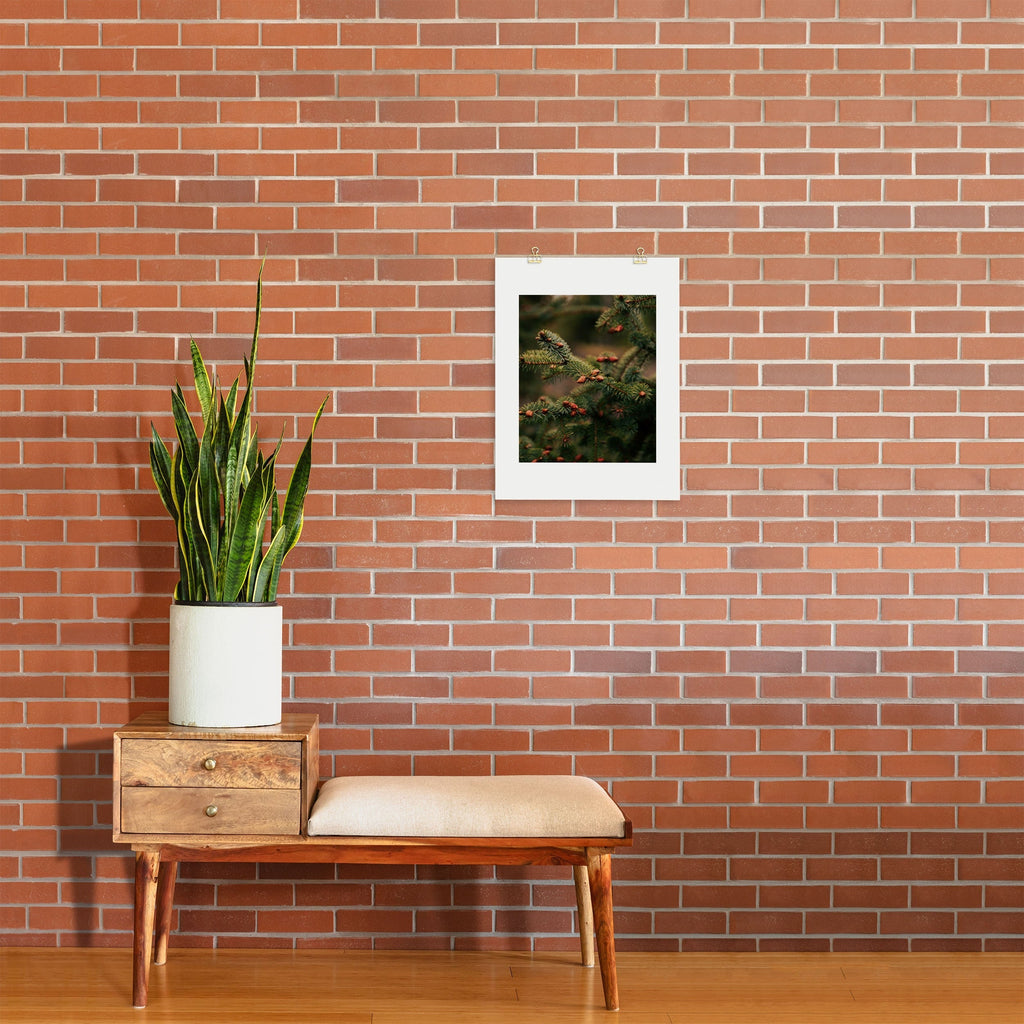 Hannah Kemp Spruce Tips Art Print