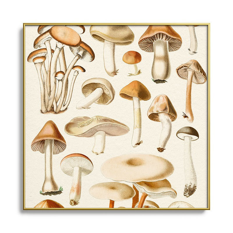 Gal Design Mushrooms Collection Square Metal Framed Art Print