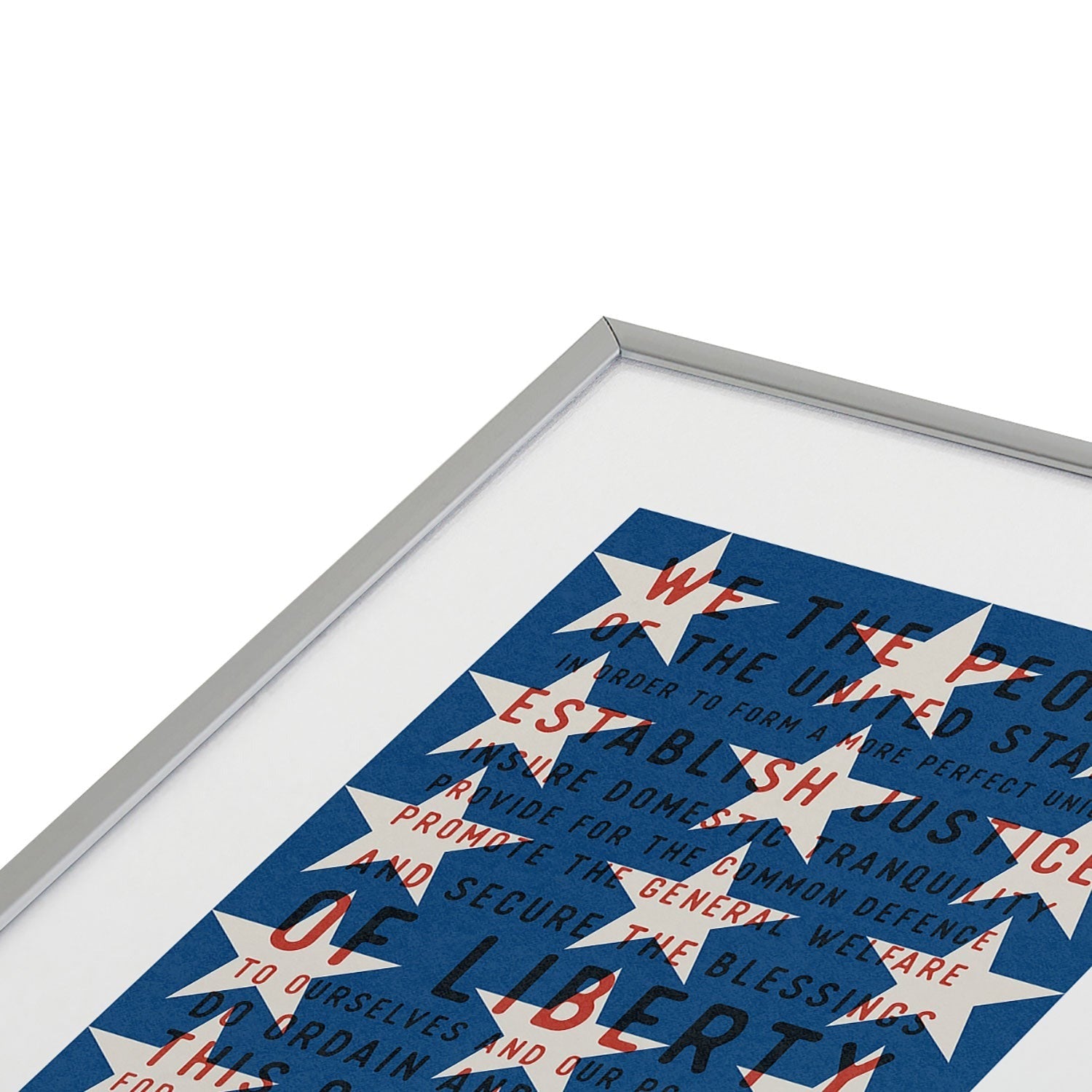 DENY Designs Starred Preamble Metal Framed Art Print